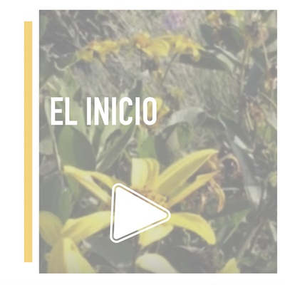Laboratorio Vegetal - El Inicio