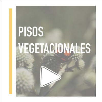 Laboratorio Vegetal Pisos Vegetacionales Nativos