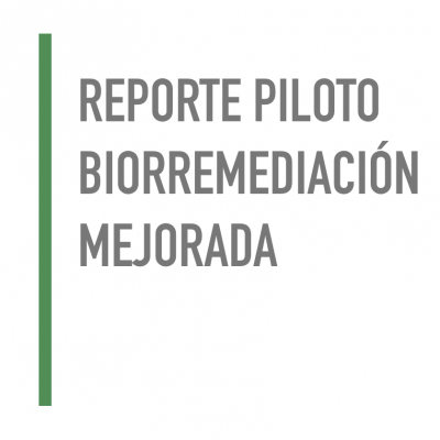 Reporte piloto Biorremediación Mejorada