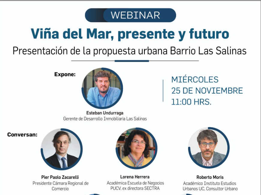 Afiche webinar pequeño