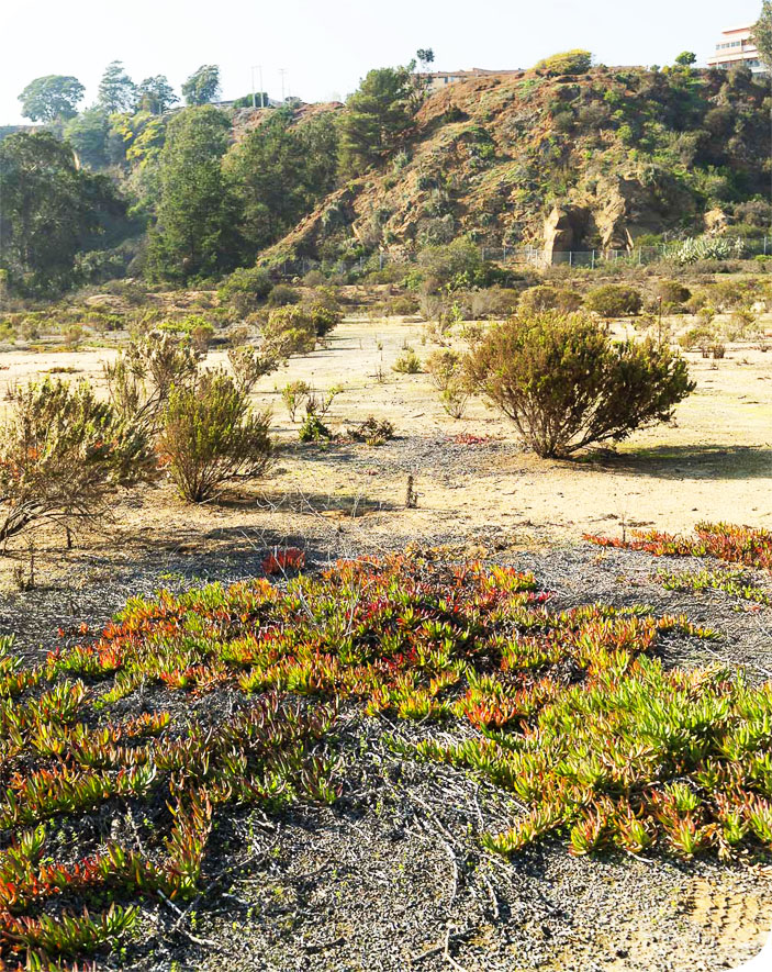 LAS-SALINAS_foto